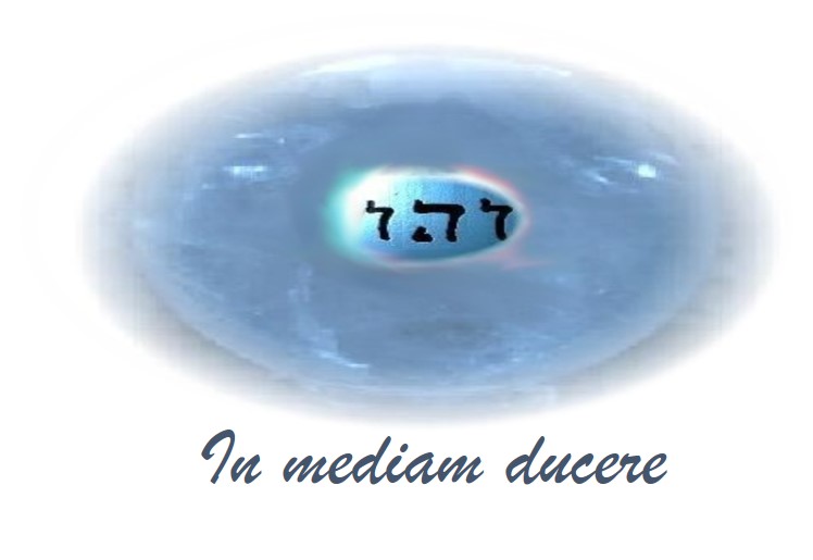 Logo Inmediamducere